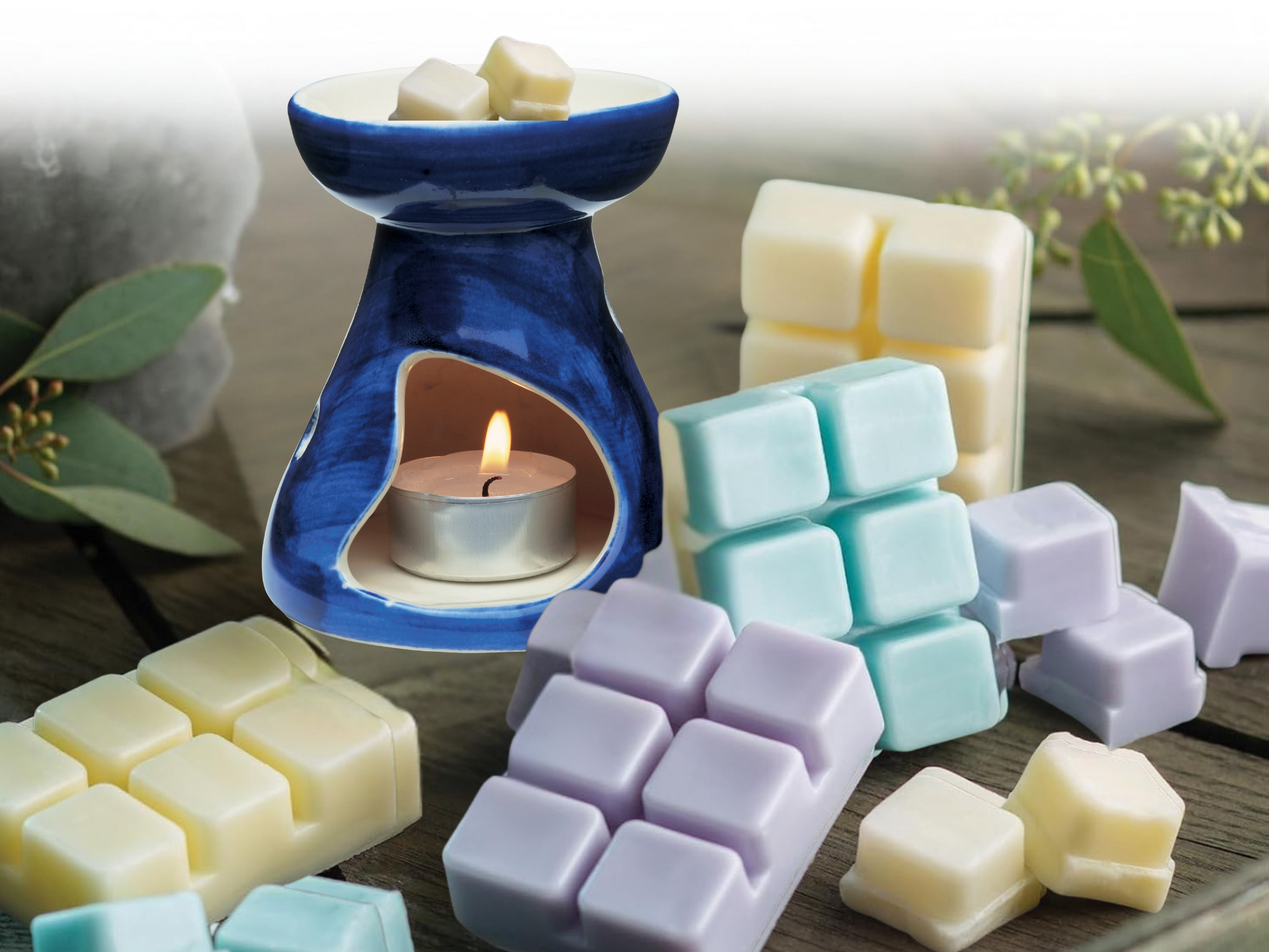 clamshell Wax Melts - Best-Selling scents - Signature Collection