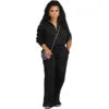 Fall Outfits for Women 2024 Solid Color Loose Zipper Drawstring Pants Sports Two Piece Pant Set