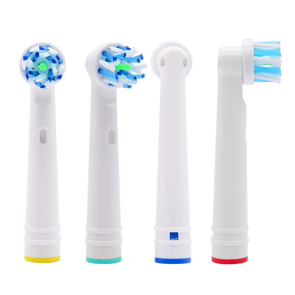 BAOLIJIE EB50-P China 12 Years Professional Manufacturer Wholesale Adult Tooth Brush Head