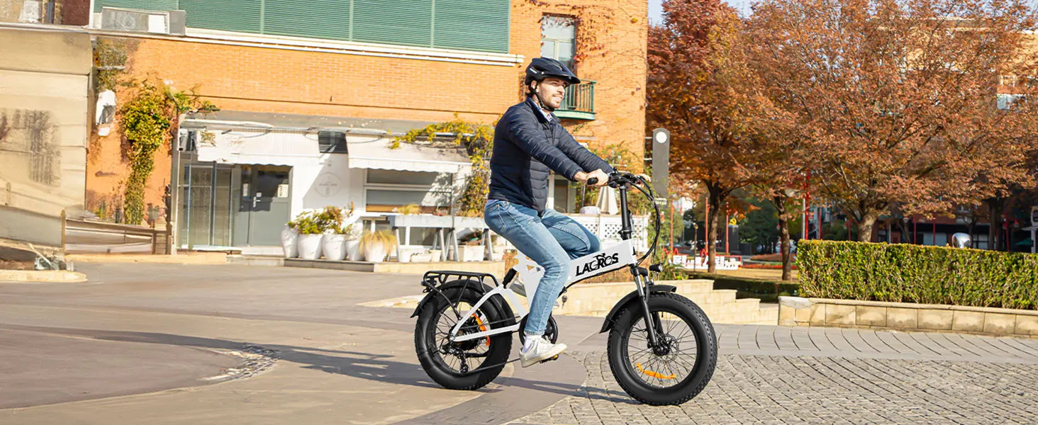 Lacros Pinecone adult E-bike,500W city ebike,48V12.8AH ebike,20 Fat Tire E-Mountain bike