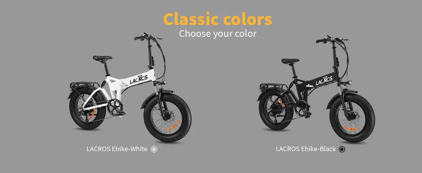 Lacros Pinecone adult E-bike,500W city ebike,48V12.8AH ebike,20 Fat Tire E-Mountain bike