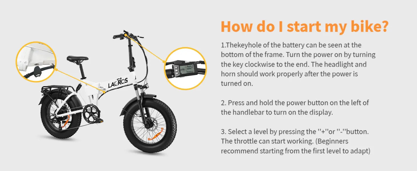 Lacros Pinecone adult E-bike,500W city ebike,48V12.8AH ebike,20 Fat Tire E-Mountain bike
