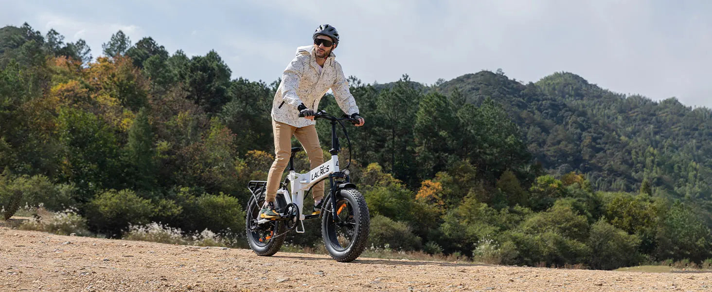 Lacros Pinecone adult E-bike,500W city ebike,48V12.8AH ebike,20 Fat Tire E-Mountain bike