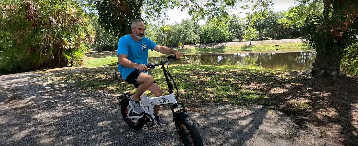 Lacros Pinecone adult E-bike,500W city ebike,48V12.8AH ebike,20 Fat Tire E-Mountain bike