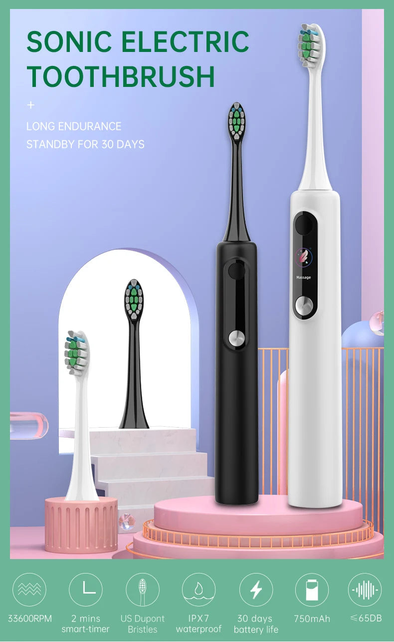 Baolijie SN-P1Manufacturer Private Logo Automatic Electrical Smart Dupont Portable Travel Tooth Brush Electric Toothbrush