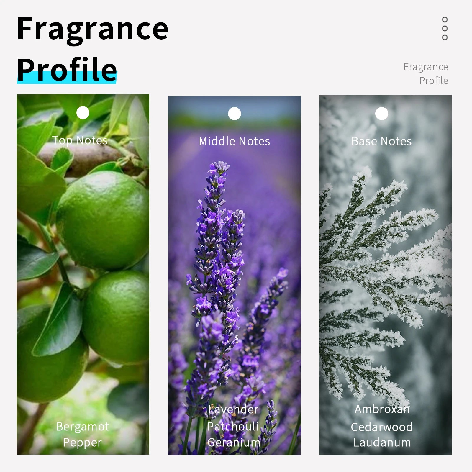 Perfume VILILY No.062 Men's Perfume 100ml Parfum Homme Original Hombre Cologne Fragrance Fougere Perfumes Wholesale