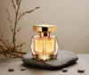 Exquisite Full Bottle Cologne | Friendly Daily Scent Luxury Collection