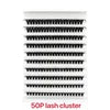 Wholesale Full Strip Eye Lashes Kits 30P-100P Private Label DIY Segment Lashes Cluster Eyelashes Vendor