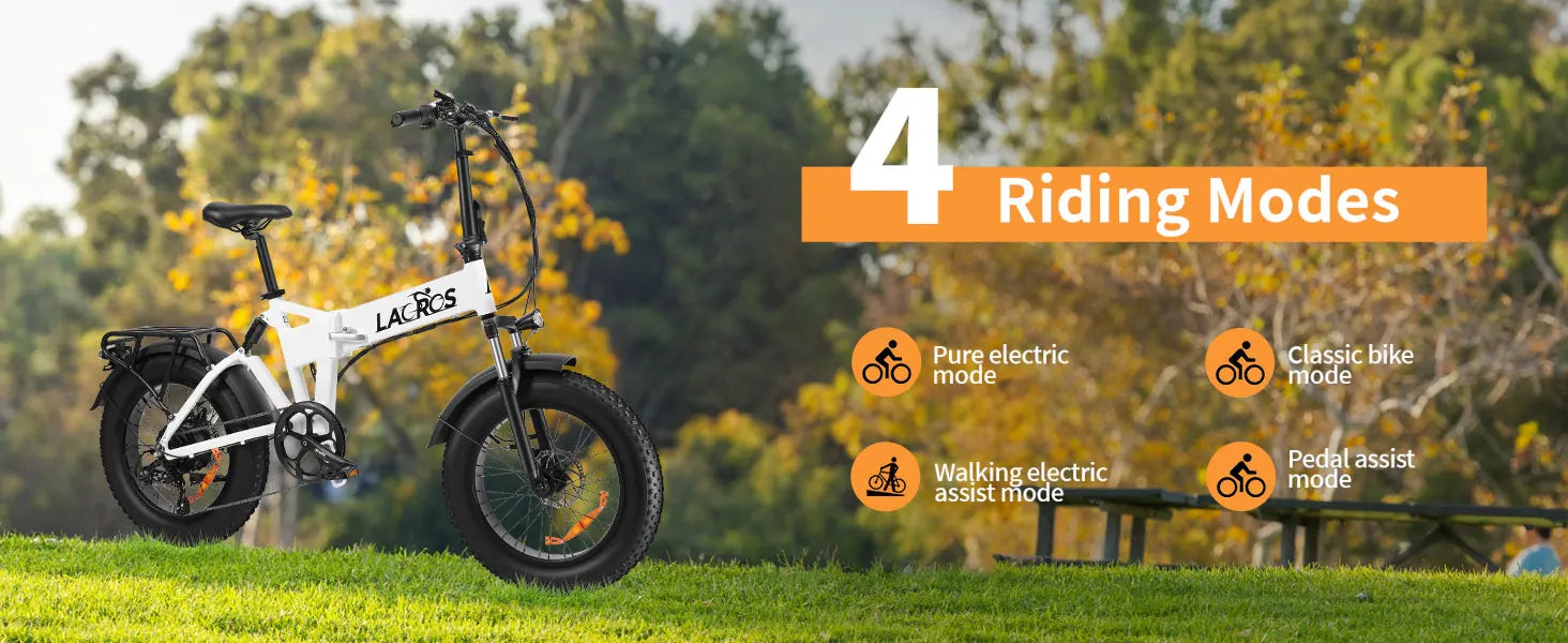 Lacros Pinecone adult E-bike，500W city ebike，48V12.8AH ebike，20 Fat Tire E-Mountain bike
