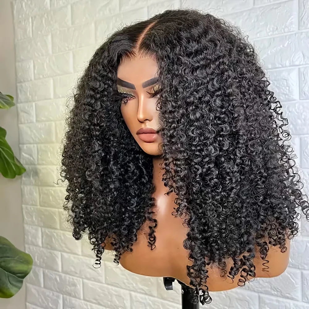 Glueless Wear And Go Kinky Curly Wig Human Hair Precut 7x5 13x6 HD Frontal Wigs Ready to Perplucked Curly Lace Front Wig On Sale