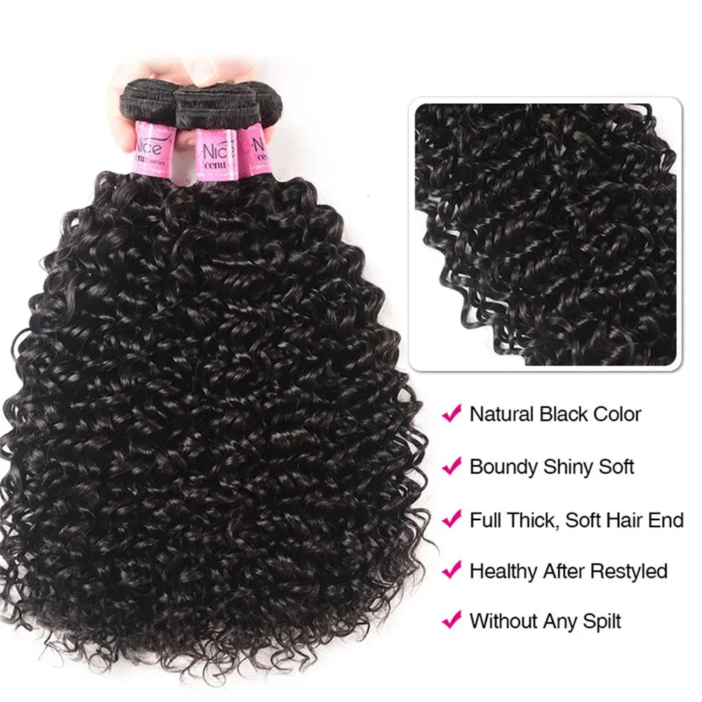 UNice Hair Curly Hair Bundles Unprocessed Natural Color 10A Grade 100% Human Hair 1/3/4 PCS Deal