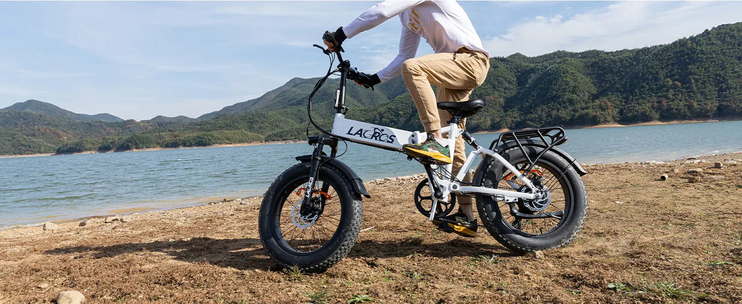 Lacros Pinecone adult E-bike，500W city ebike，48V12.8AH ebike，20 Fat Tire E-Mountain bike