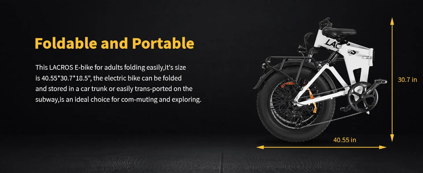 Lacros Pinecone adult E-bike，500W city ebike，48V12.8AH ebike，20 Fat Tire E-Mountain bike