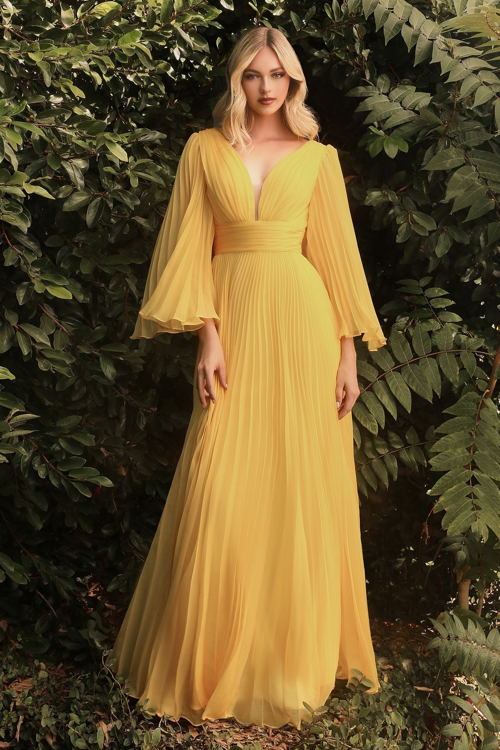Pleated Chiffon Gown with Deep V-neckline, perfect for Mother of the Bride