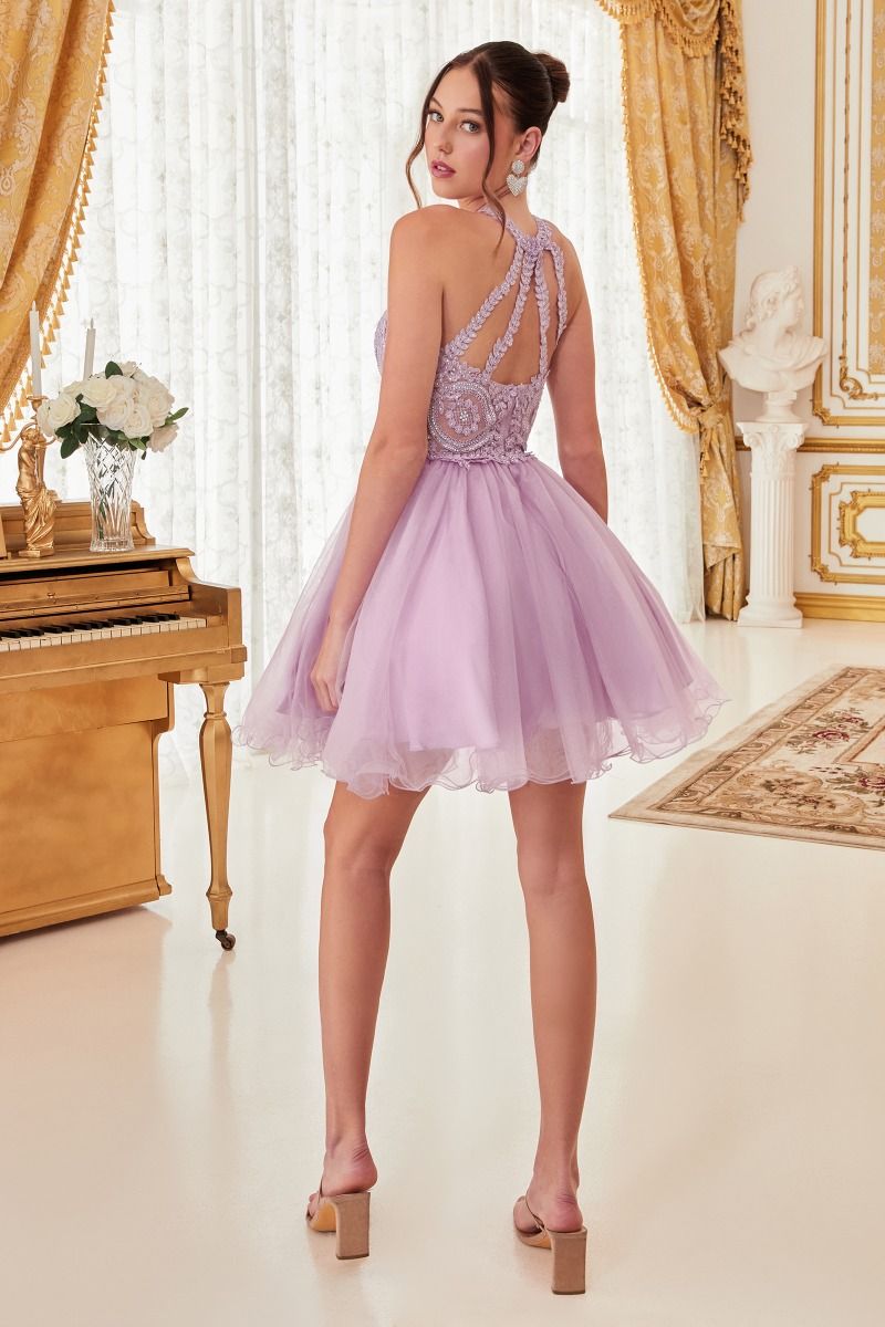 Tulle Halter Dress Elegant Designer Special Occasion Luxe Statement - CDUJ0119