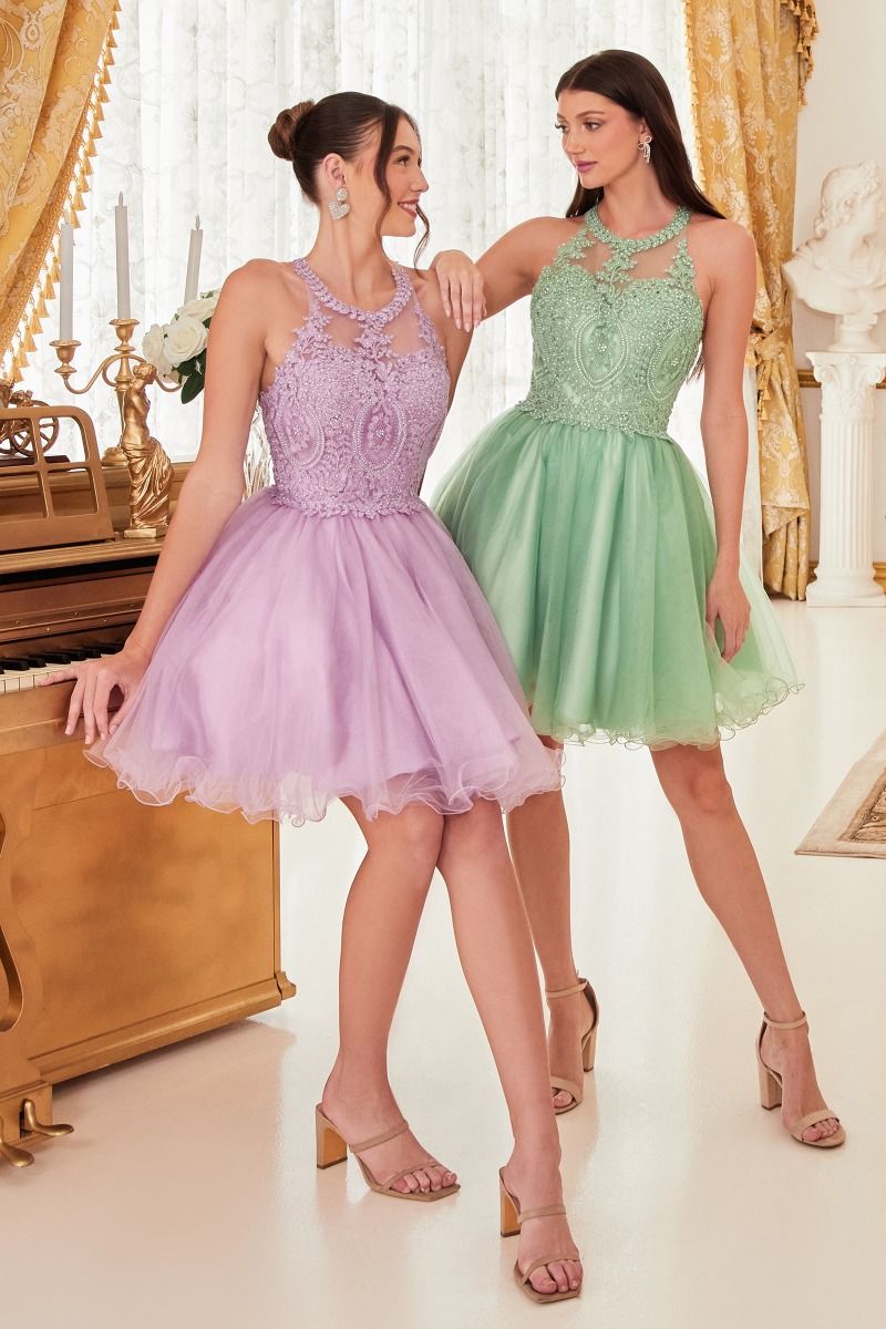 Tulle Halter Dress Elegant Designer Special Occasion Luxe Statement - CDUJ0119